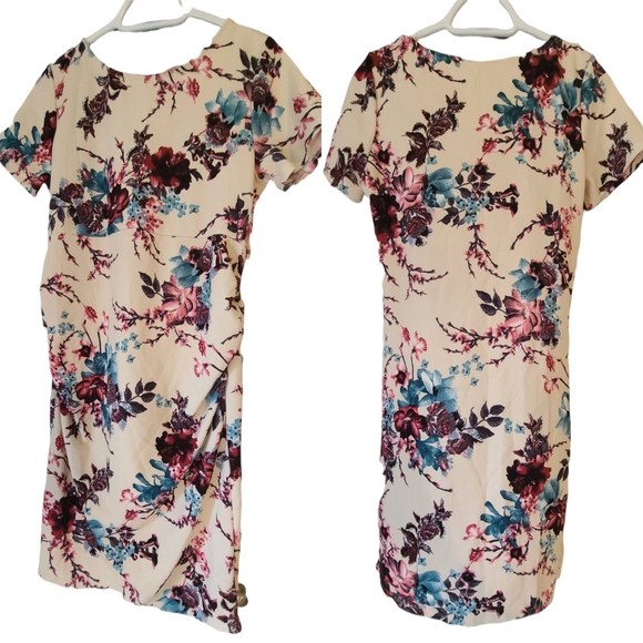 Pinkblush Dresses & Skirts - C1 🎉🎊HP🎉🎊Pink Blush Bellies to the Babies Dress